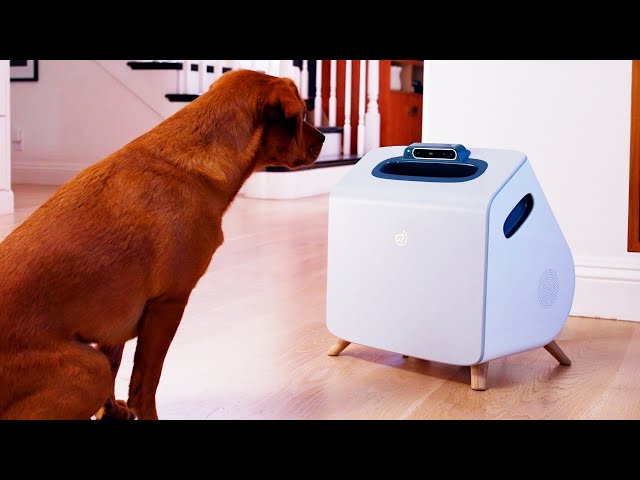 Automatic dog trainer seeks to create a better pet, faster